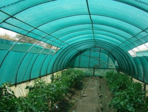 Mreža za zasenu 2x100m 70% - zelena - Img 2