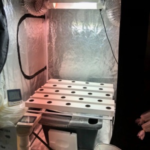 NFT Sistem 1m² - Img 4