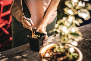 Sadiljka multifunkcionalna Solid Seed Planting FISKARS - Img 11