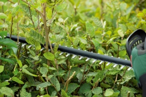 Akumulatorski trimer za žbunje i živicu UniversalHedgeCut 18V-55 Solo BOSCH - Img 6