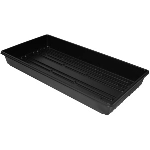 Clone Box Dno
