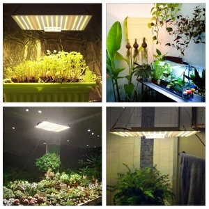 Led Grow Panel 50W 30×30 UV IR - Img 4