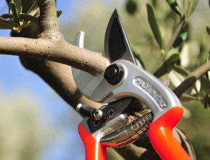 Makaze voćarske Ergonomic 210mm Castellari - Img 2
