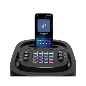 Prenosna zvučna kutija sa Bluetooth konekcijom 60W SAL - Img 4
