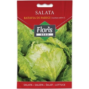 Salata Batavia Di Parigi seme 1.5g - 10kom. FLORIS