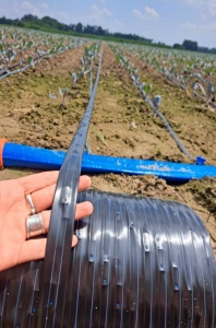 Kap po kap traka za navodnjavanje sa nano ravnim kapljačima 16mm - 1000m Aqua Star POLLINO PLAST - Img 3