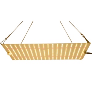 Led Grow Panel 30×40 100W UV IR