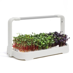 Smart Bašta MicroGreen - Img 3