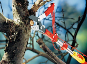 Makaze za grane multi-star® RC-M WOLF GARTEN - Img 3