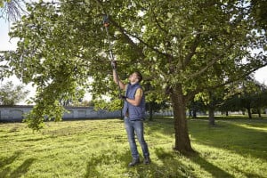 Makaze za grane sa teleskopskom drškom 3.5m Starcut 160 plus GARDENA - Img 3