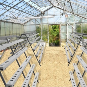 NFT A Model – 280 Mesta - Img 2