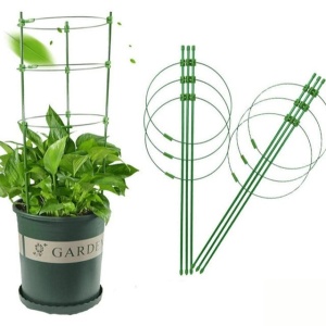 Potporni štap za saksijske biljke - okrugli 60cm FLORIS - Img 2