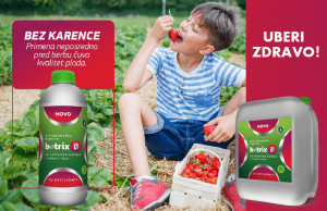 Bacillomix Botrix B 10L - mikrobiološko đubrivo za voćarske kulture i vinovu lozu - Img 2
