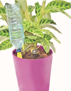 Dozator vode za saksije FLORTIS - Img 4