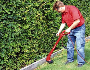 Električni trimer za travu 250W GC-ET 2522 EINHELL - Img 5