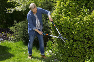 Makaze za živu ogradu - teleskopske Telecut GARDENA - Img 4