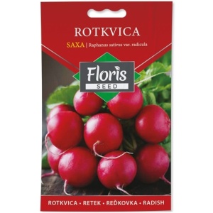 Rotkvica Saxa 3g seme - 10kom. FLORIS