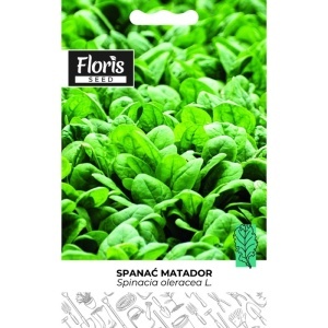 Seme spanać Matador 3g - 10kom. Floris