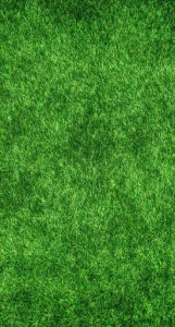 Travna smeša za luksuzne tamno zelene površine 1kg CALIFORNIUM GOLF - Img 2