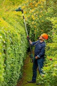 Akumulatorski teleskopski trimer za žbunje i živicu UniversalHedgePole 18 Solo BOSCH - Img 8