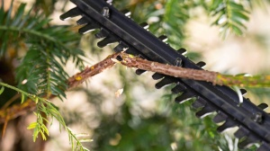 Akumulatorski trimer za žbunje i živicu EasyHedgeCut 18V-44-11 Solo BOSCH - Img 6