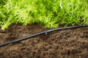 Crevo za navodnjavanje - kap po kap 3/16" 15m bez pribora GARDENA - Img 4
