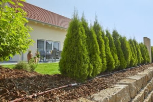 Crevo za navodnjavanje - kap po kap 3/16" 15m GARDENA - Img 2