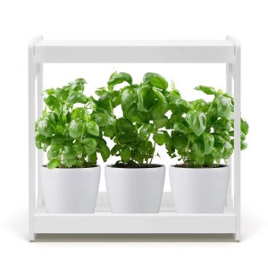 Home Grow LED Garden 10w - Img 2