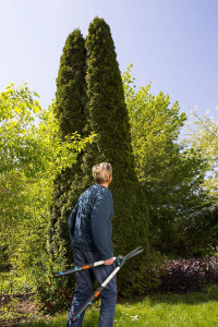 Makaze za živu ogradu - teleskopske Telecut GARDENA - Img 5