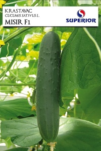 Seme krastavac salatar Misir 1g SUPERIOR
