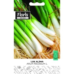 Seme luk Aljma 1g - 10kom. Floris