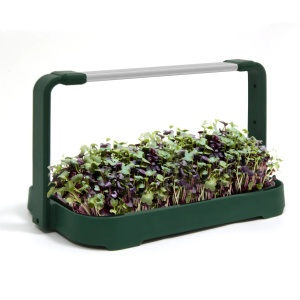 Smart Bašta MicroGreen - Img 4