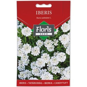 Cveće Iberis seme 0.5g - 10kom. FLORIS