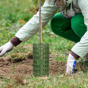 Plastična zaštita za drvo i cveće GardenLine - Img 3