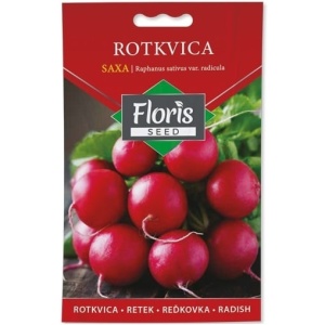 Rotkvica Saxa 20g seme - 10kom. FLORIS