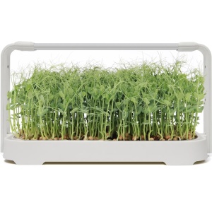 Smart Bašta MicroGreen