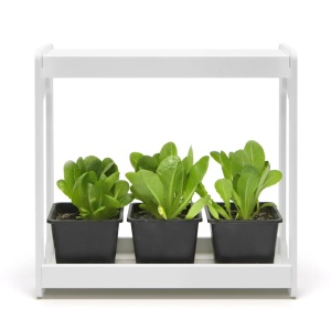 Home Grow LED Garden 10w - Img 6