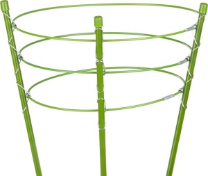 Potporni štap za saksijske biljke - okrugli 75cm STREND PRO - Img 2