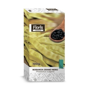 Seme boranija široka visoka di Venezia 100g - 10kom. Floris