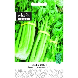 Seme celer Lišćar Utah 0.5g - 10kom. Floris