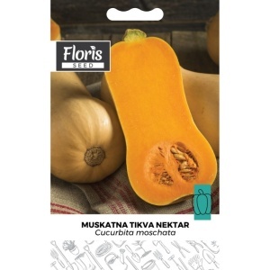 Seme tikva Muskatna Nektar 2g - 10kom. Floris