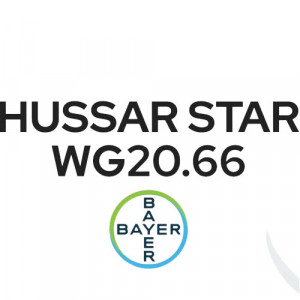 Herbicid Hussar Star WG20.66 250g