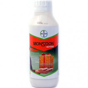 Herbicid Monsoon active OD 1L