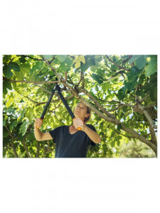 Makaze za grane 54.5cm FISKARS - Img 4