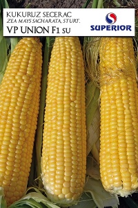 Seme kukuruz šećerac Union 50g SUPERIOR