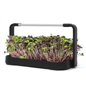 Smart Bašta MicroGreen - Img 5