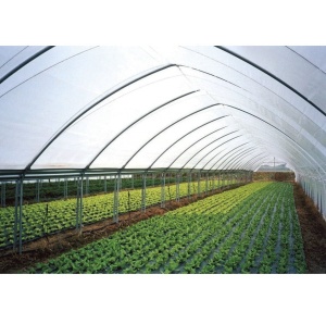 Unutrašnja folija za plastenike UV 2356 Ad 60mic - širine 8.5m KRITIS