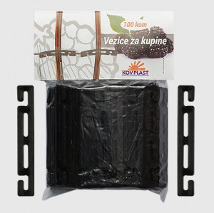 Vezice za kupinu 100kom. - Img 1