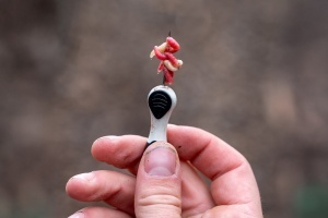 Croseta Nash Maggot Needle, Alb-Negru - Img 2