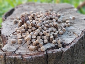 Pelete Fishmeal (Peste)